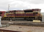 CP 7019